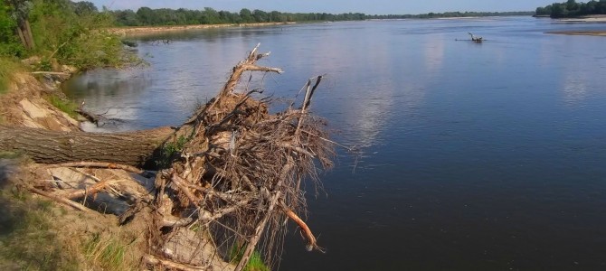 Nadwiślańskie Klimaty – spacer nad dwiema rzekami – 9 lipca