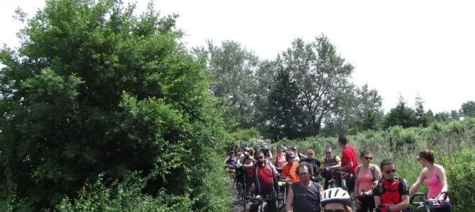 Single na rowerach: wycieczka do Wyszogrodu i Czerwińska nad Wisłą, niedziela 1 maja