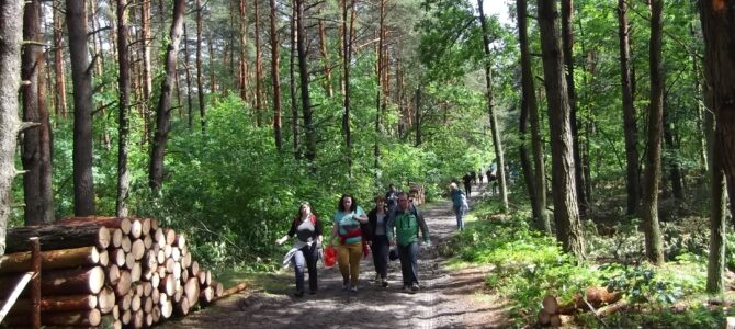 Wiosna w Lesie Młochowskim, niedziela 26 marca