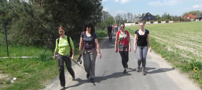 Spacer przez Lasy Chojnowskie, niedziela 21 maja