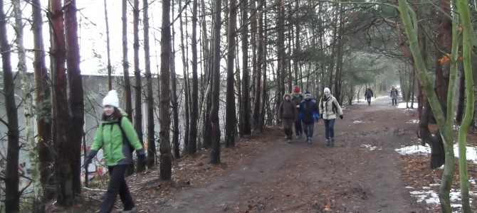 Zdjęcia z wyprawy pieszej po Lesie Kabackim w sobotę 2 grudnia