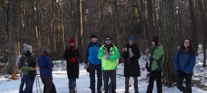 Lasy Chojnowskie, spacer 14 km, sobota 27 stycznia