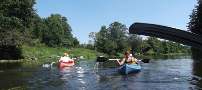 Spływ kajakowy Wkrą, 15 km, niedziela 26 sierpnia