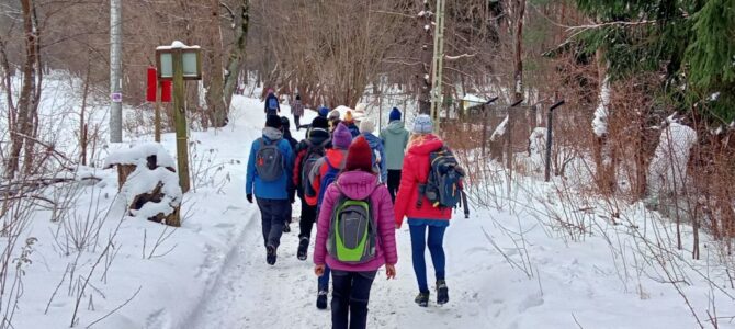 Czas na Kampinos: spacer 14 km, niedziela 30 listopada