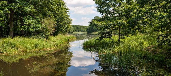 Przejażdżka nad Jeziorką i Pisią, wycieczka rowerowa, niedziela 1 września