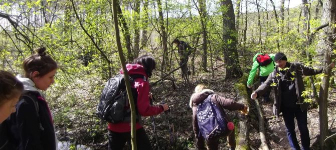 Mazowiecki Park Krajobrazowy, wycieczka piesza 15 km, sobota 23 listopada