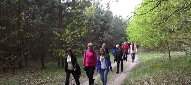 Mazowiecki Park Krajobrazowy: Pętla Falenicka (nowa trasa), spacer 19 km, niedziela 30 marca