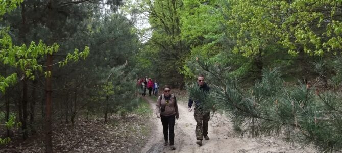 Lasy Chojnowskie: pętla Zalesie Górne, wycieczka piesza, niedziela 13 kwietnia