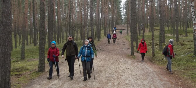 Spacer po Lasach Chojnowskich, pętla Zalesie Górne, niedziela 1 czerwca