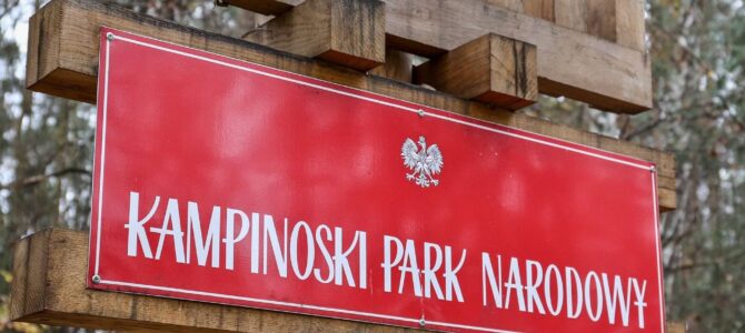 Rezerwat przyrody „Karpaty”, Puszcza Kampinoska, wycieczka rowerowa, niedziela 20 lipca