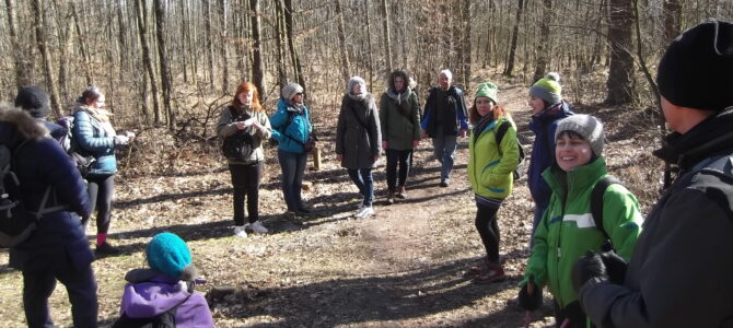 Czas na Kampinos: Laskowa Góra, Góra Ojca, Łużowa Góra, niedziela 13 lipca