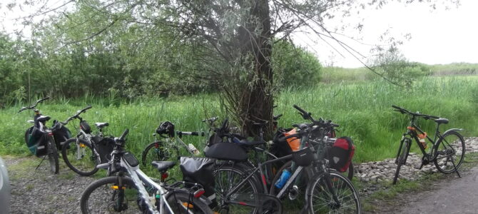 Bagno Całowanie i inne bagna, wycieczka rowerowa, sobota 20 września