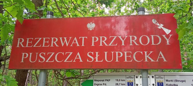 Wyprawa piesza do Puszczy Słupeckiej, niedziela 5 października Wyprawa piesza do Puszczy Słupeckiej, niedziela 5 października