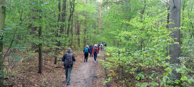 Odkrywamy Mazowsze: Lasy Legionowskie, spacer 15 km, niedziela 9 listopada