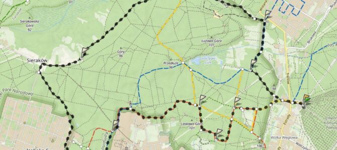 Czas na Kampinos: Góra Ojca, Łużowa Góra (pętla), niedziela 28 grudnia