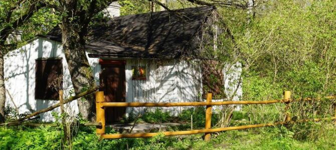 Czas na Kampinos: Ławy-opuszczona wieś, wycieczka piesza, wtorek 6 stycznia