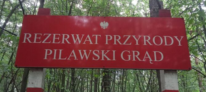 Pilawski Grąd, zimowa wycieczka piesza, niedziela 25 stycznia