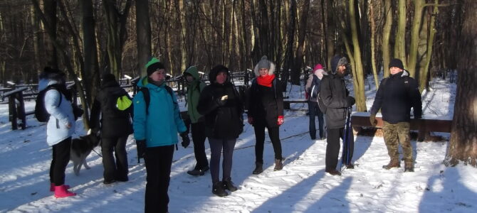 Zimowe Kabaty, spacer po Lesie Kabackim, niedziela 11 stycznia