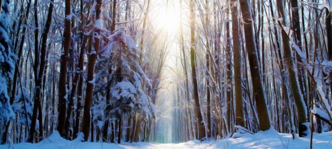 Pętla Śródborowska, spacer po Mazowieckim Parku Krajobrazowym, niedziela 22 lutego