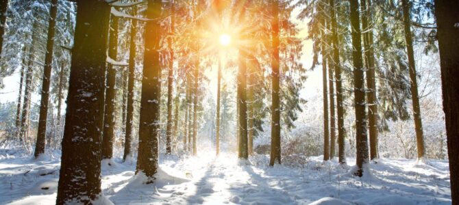 Zimowa Choszczówka, spacer leśny, niedziela 8 lutego