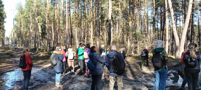 Czas na Kampinos: pętla Dziekanów Leśny, kolejna prawie wiosenna wycieczka piesza, niedziela 8 marca