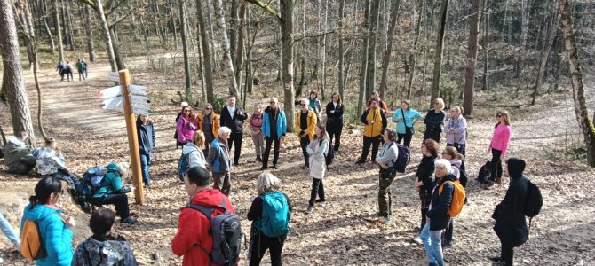 Czas na Kampinos c.d. – wyprawa piesza na Górę Ojca i Łużową Górę, niedziela 15 marca