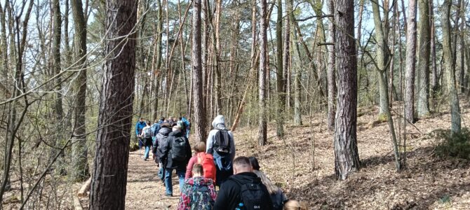 Wiosenny spacer po Lasach Chojnowskich, niedziela 26 kwietnia