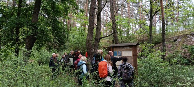 Czas na Kampinos: Cybulice Duże – Leszno, wyprawa piesza po Puszczy Kampinoskiej, niedziela 24 maja Czas na Kampinos: Cybulice Duże – Leszno, wyprawa piesza po Puszczy Kampinoskiej, niedziela 24 maja